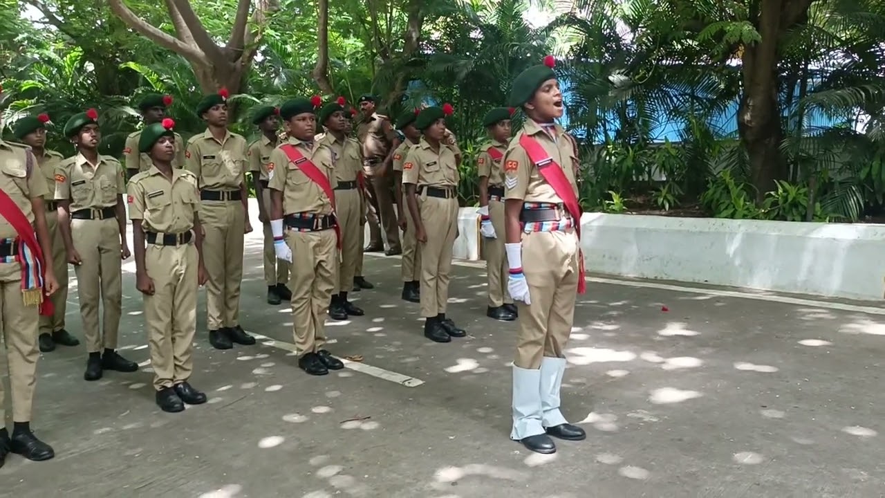 NCC Drill Test JD
