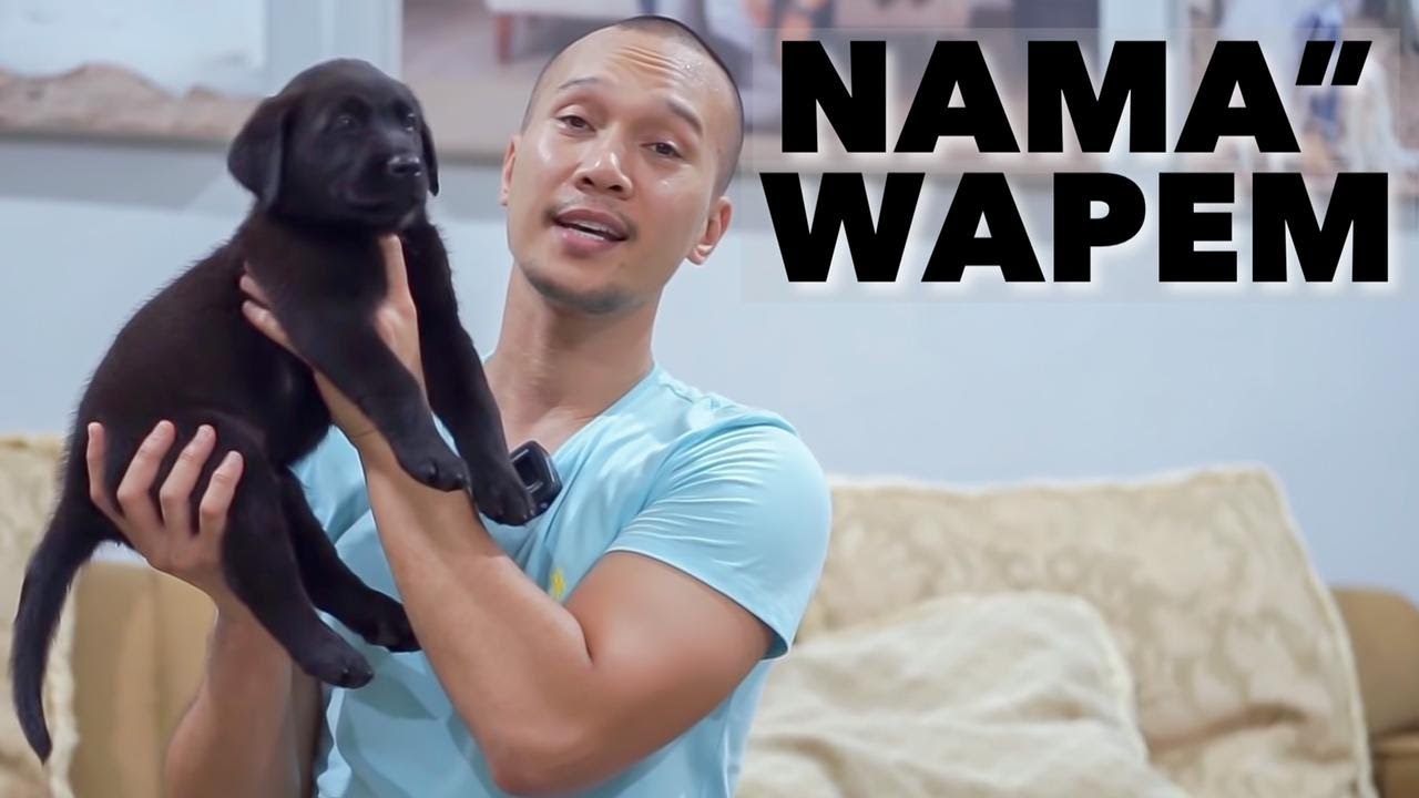AKHIRNYAAA!! INI DIA NAMA-NAMA WAPEM!!