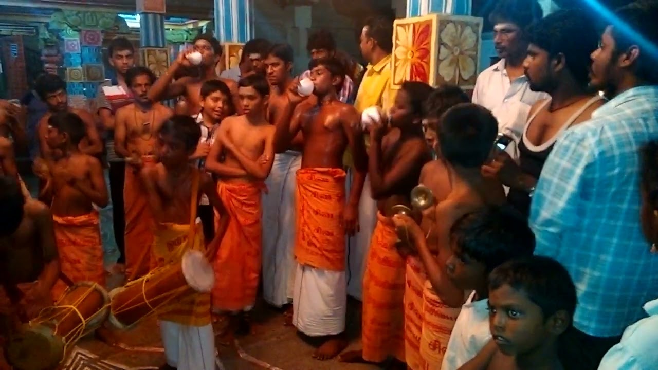 கைலாய வாத்தியம் | Kailaya vathiyam #நமசிவாய #namasivaya #nellai