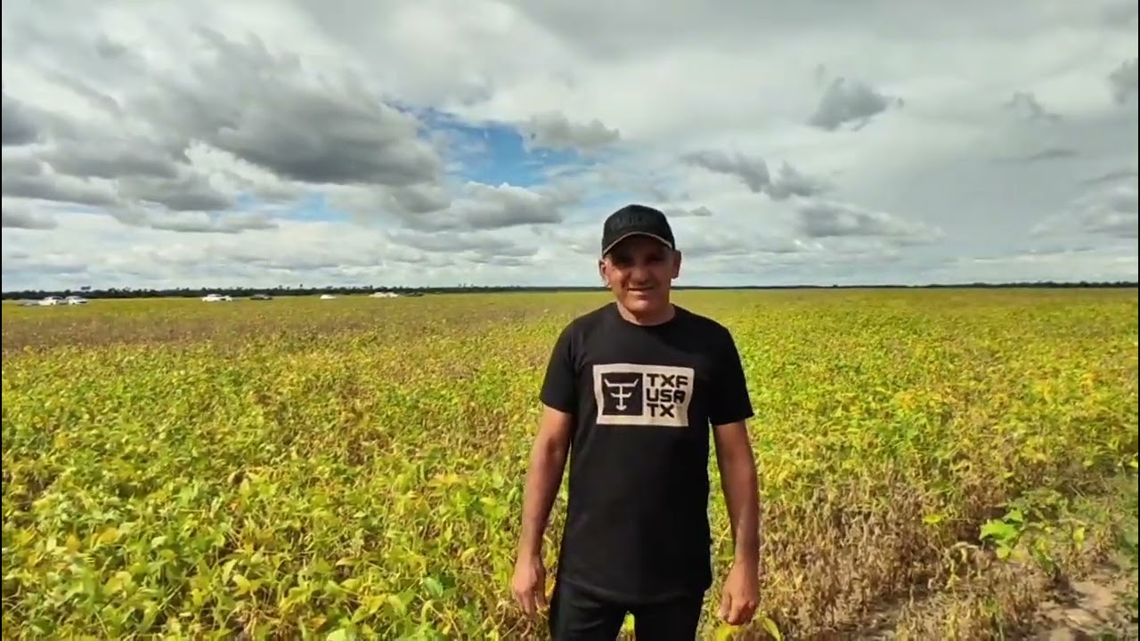 Abertura oficial da colheita da soja no cerrado em Roraima 🌾