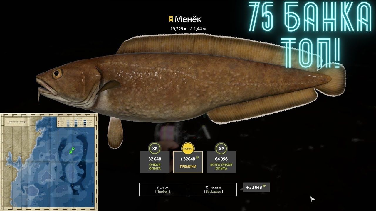 Russian Fishing 4 🌟Норвежское море🌟 75 Роздает Трофов 🎣         Троф менек!🌟
