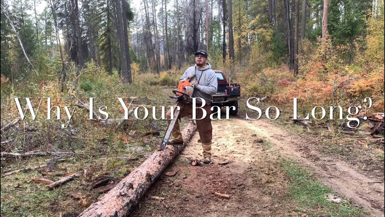 Why Such a Long Bar? Firewood With a 32” Chainsaw Bar