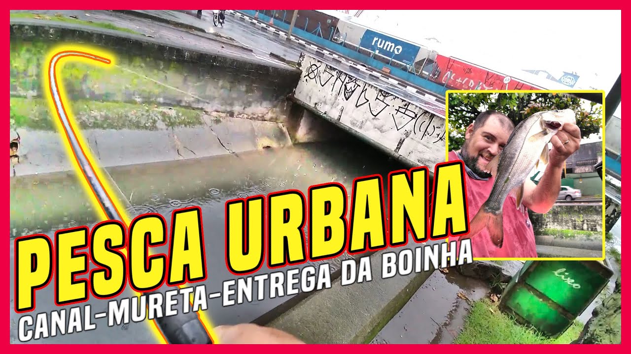 DRIVE THRU DE ROBALO??? - Pesca de robalo em Santos no canal, bem longe da praia. E tb nas muretas!