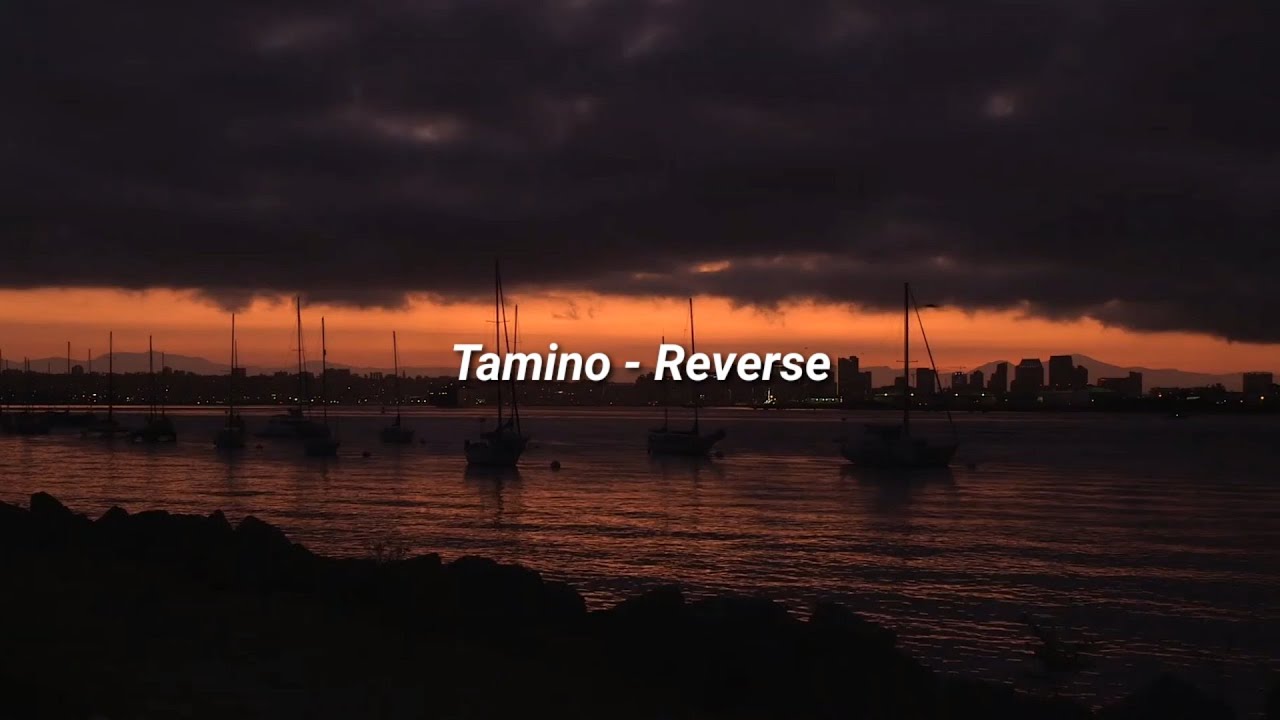 Tamino - Reverse (Lyrics)