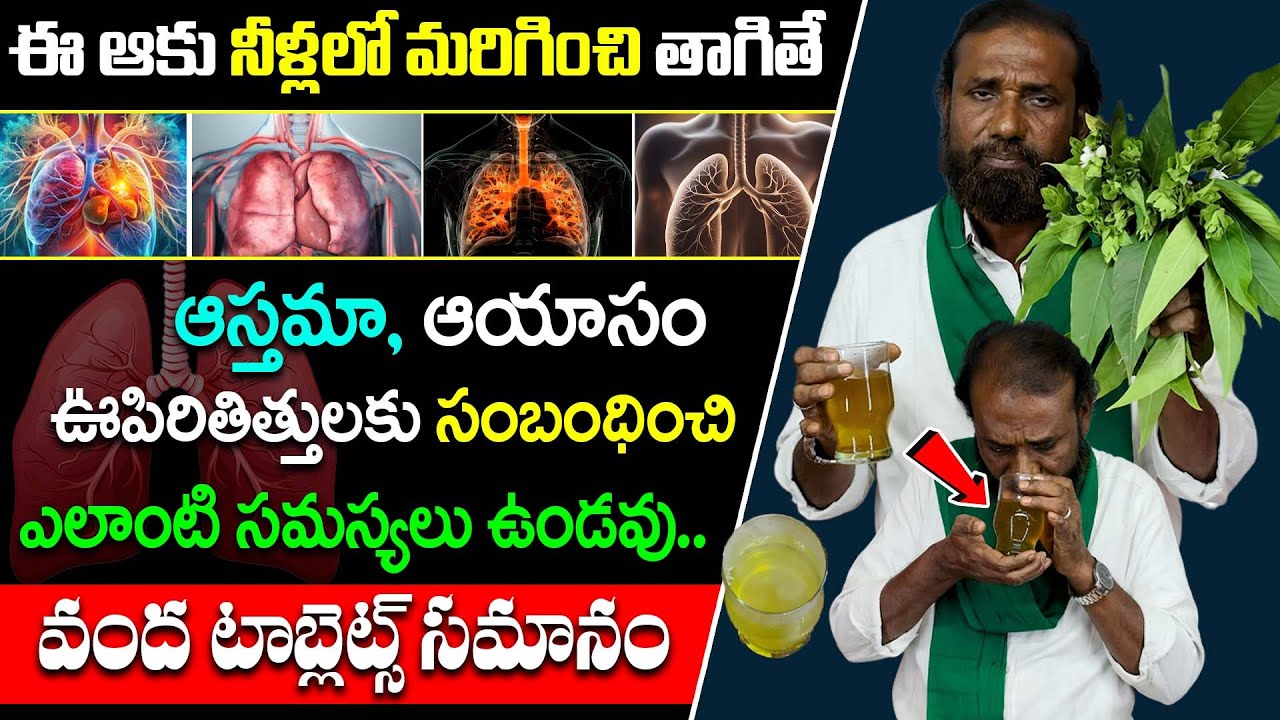 ఊపిరి తిత్తులను శక్తివంతం చేసే ఆహారాలు! | Dr. Sk. Nabi Rasool | The Best Foods for Healthy Lungs