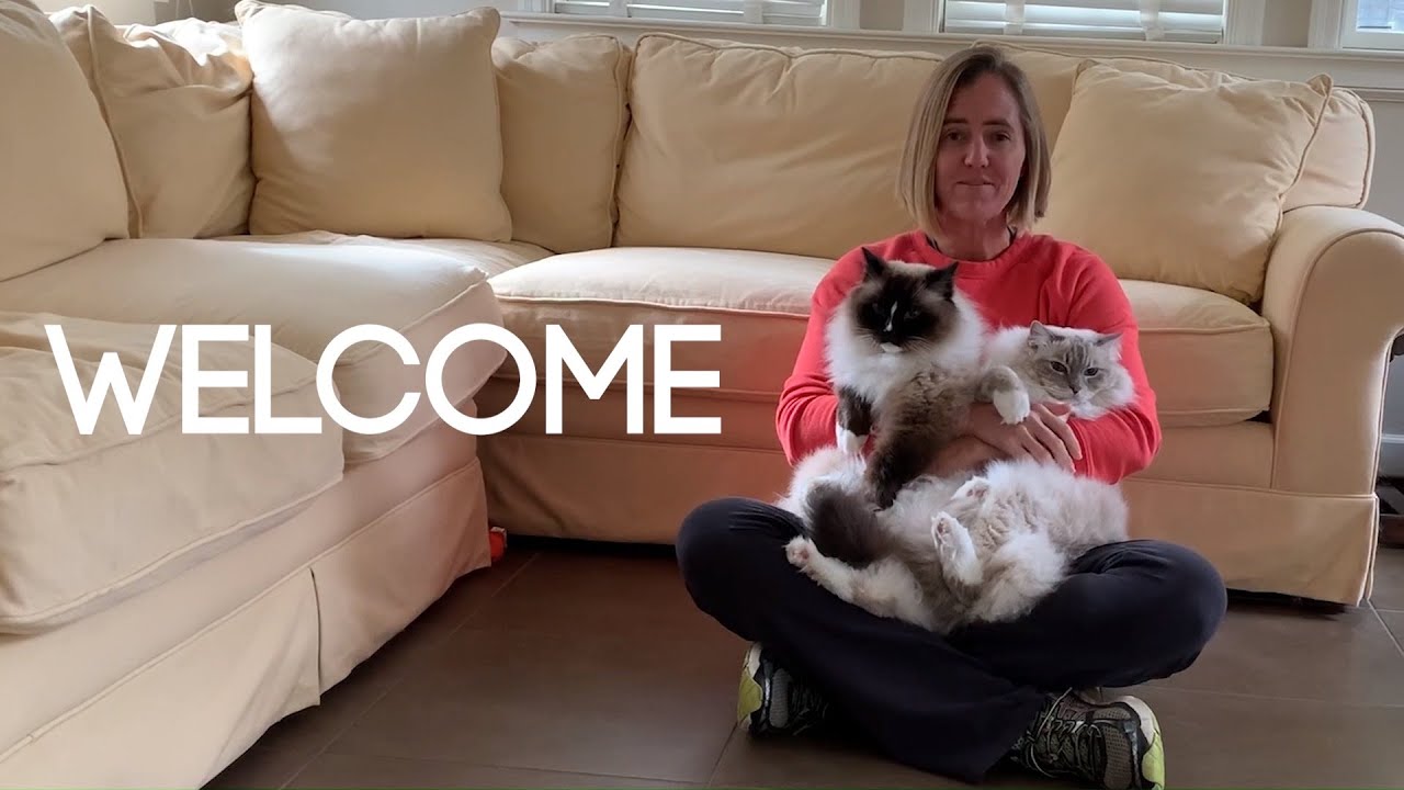 Welcome to Floppycats Ragdoll Cat YouTube Channel!