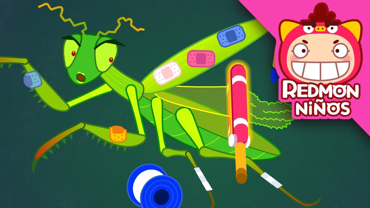 ¡Salven a la Mantis! | Equipo de rescate de insectos | redmon Español | REDMON NiÑOS
