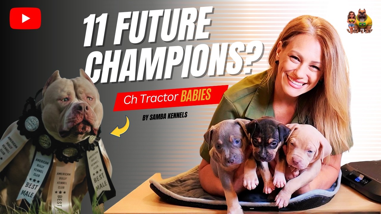 11 Puppies From This Champion… | Tractor x Tetra Litter Update