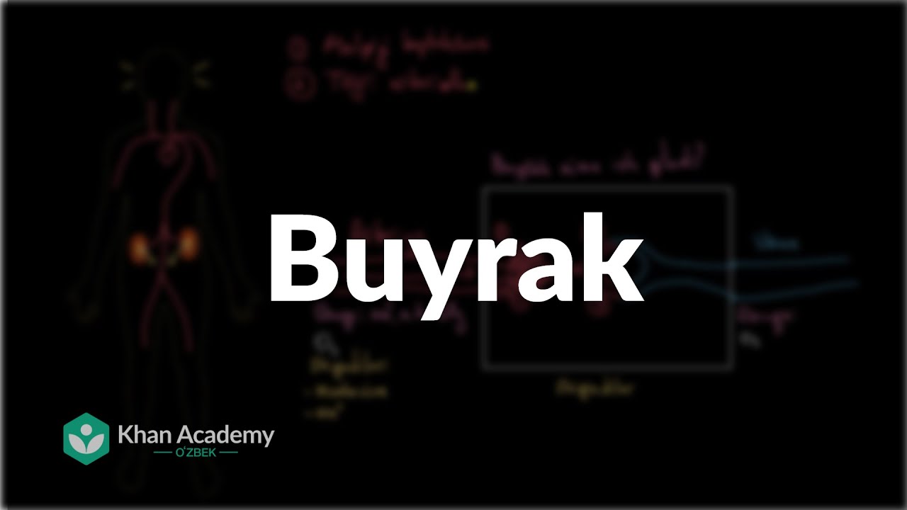 Buyrak | Ayirish tizimi | Tibbiyot
