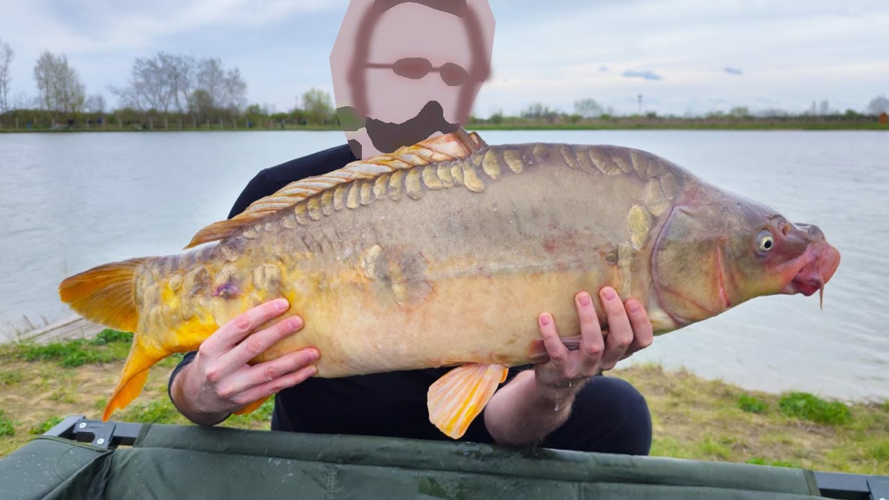 Tajemniczy gość, karp 14kg i branie za braniem na łowisku Witkowice