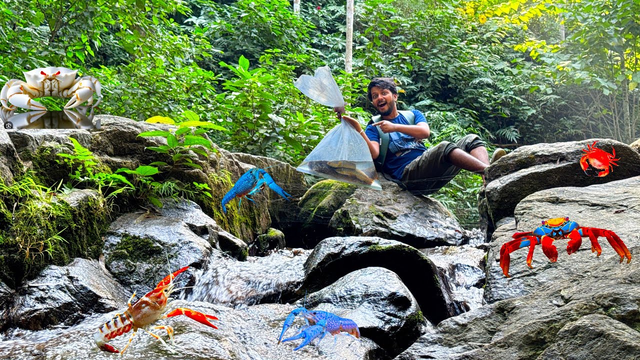 Aaj do bade CHANNA BARCA Pakde😳? OMG! Waterfall fishing 🎣 ❤️