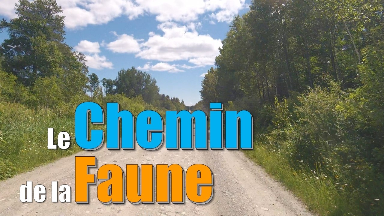 Le Chemin de la Faune
