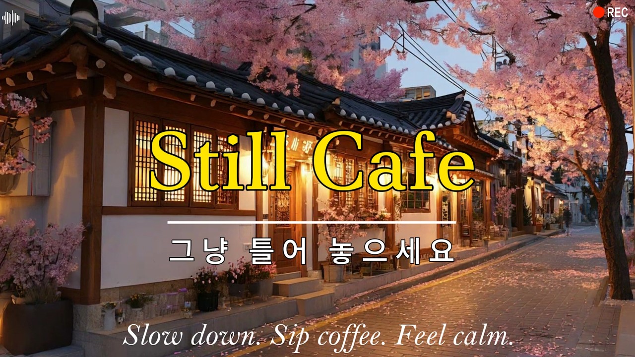 [봄 감성] 그냥 편하게 틀어 놓으세요 ☕ 조용히 스며드는 봄 카페음악 🌸 노을지는 오후 · 휴식 · 작업 · 힐링 Playlist