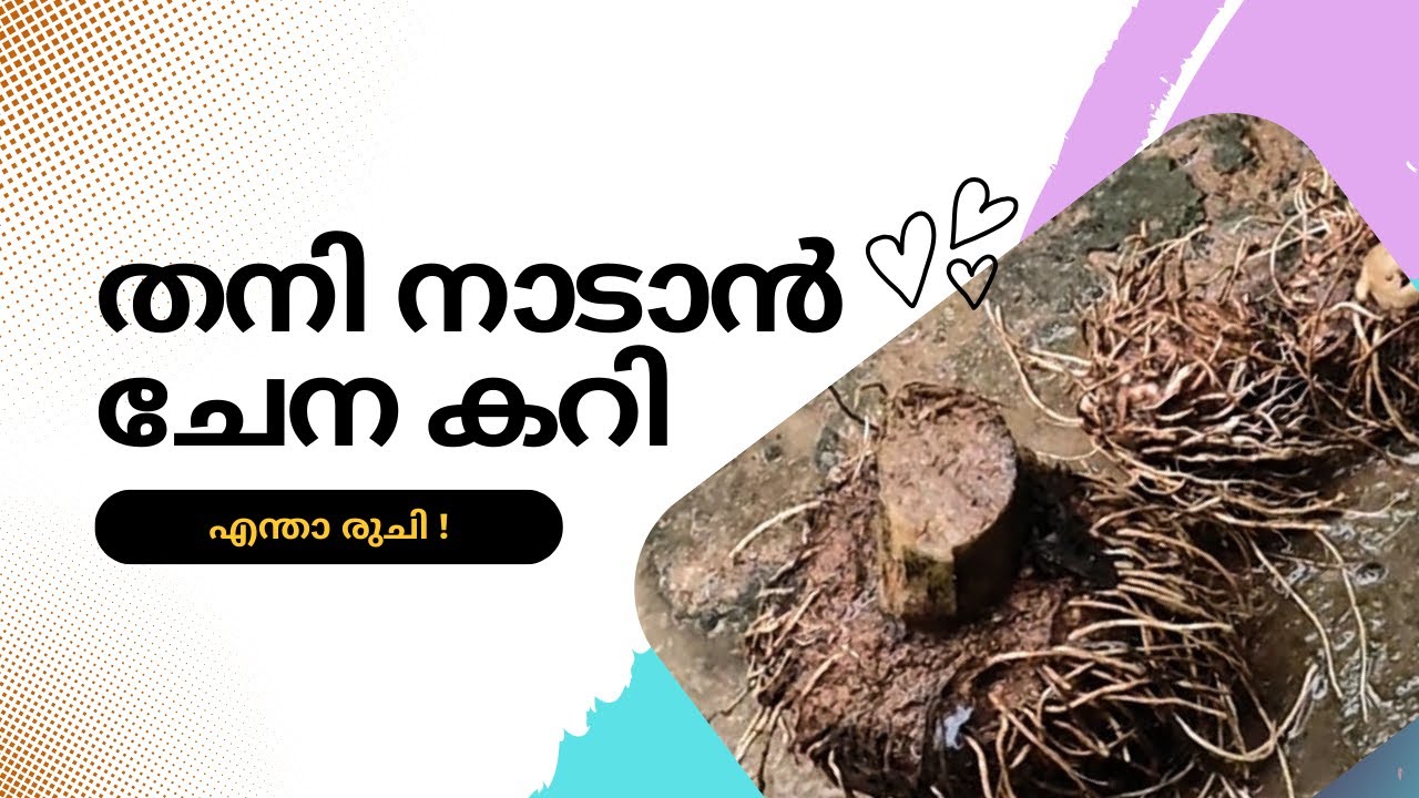 കിടിലൻ രുചിയിൽ തനി നാടൻ ചേനക്കറി ഉണ്ടാക്കുന്ന വിധം 😋| chena curry| keralastyle #viralvideo #food