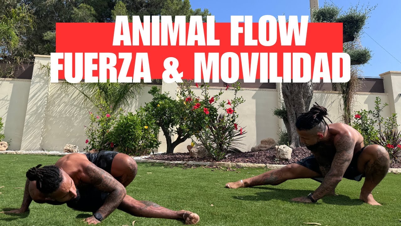 Animal Flow: 22 Movimientos para un Cuerpo Fuerte y Ágil