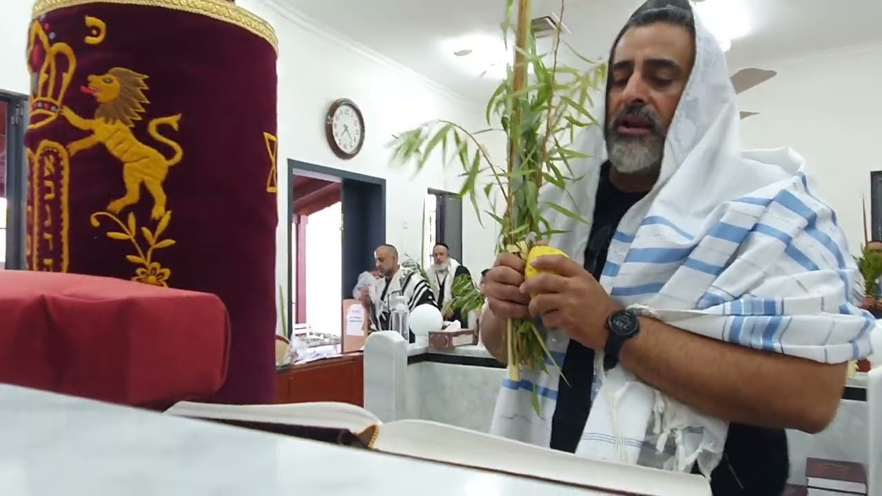 משה מנוס יצ
