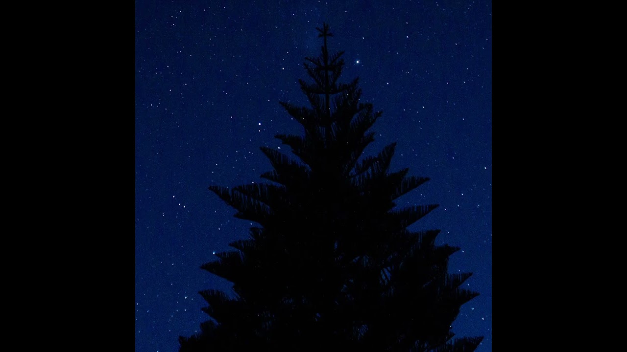 O Kerstnacht... (Herman van Veen, Ton Koopman)