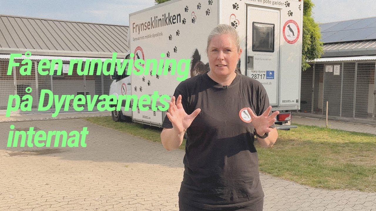 Et kig indenfor p&aring; Dyrev&aelig;rnets internat