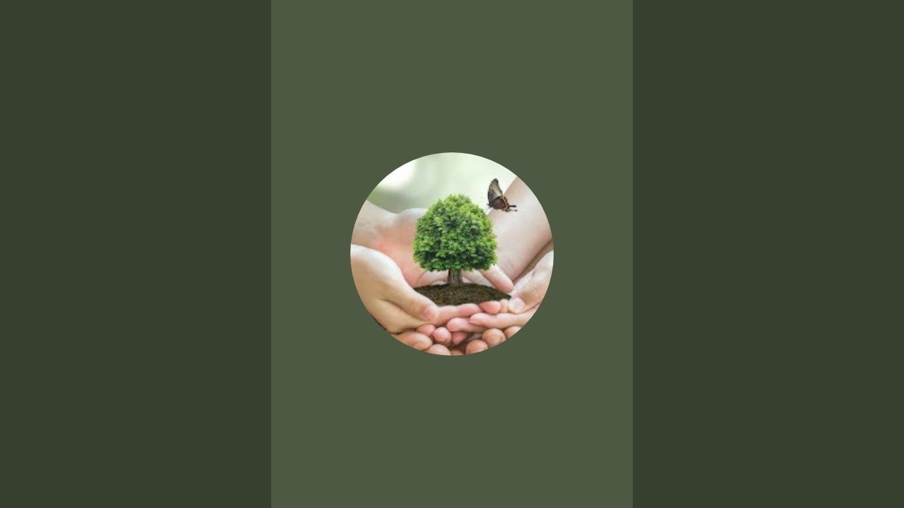 Go with green  is live