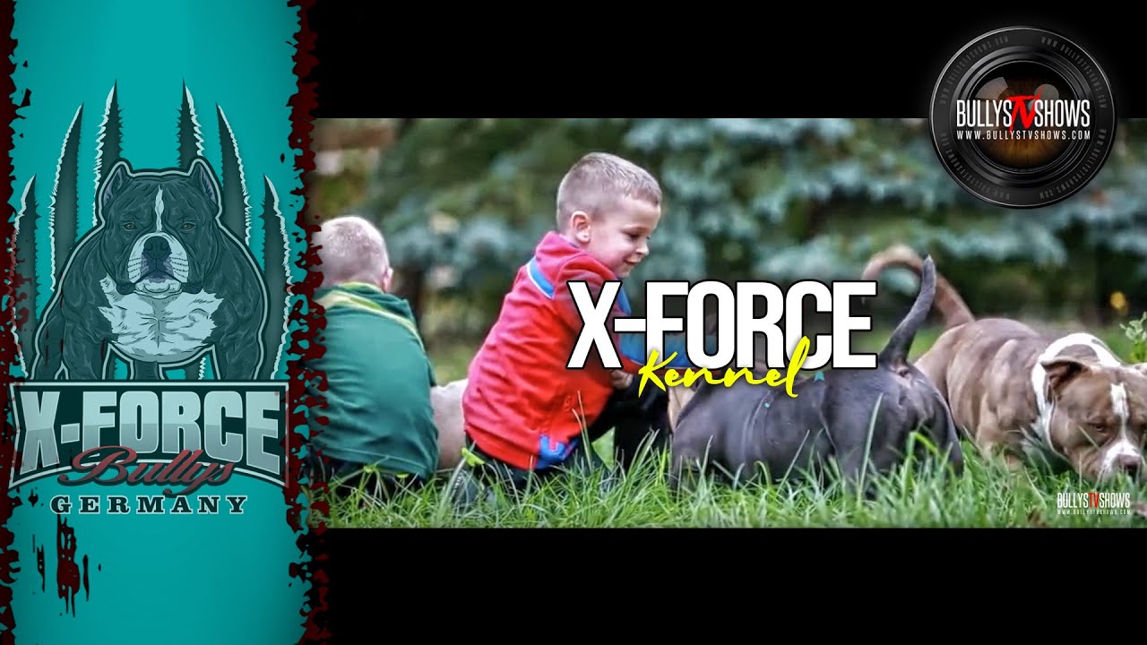 X FORCE KENNEL
