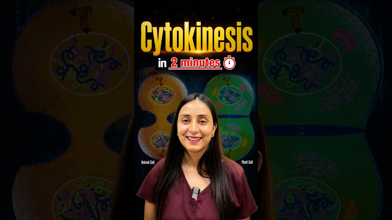 Cytokinesis | Cell Cycle & Cell Division #shorts #neet #study #ytshorts #update #exam #class11