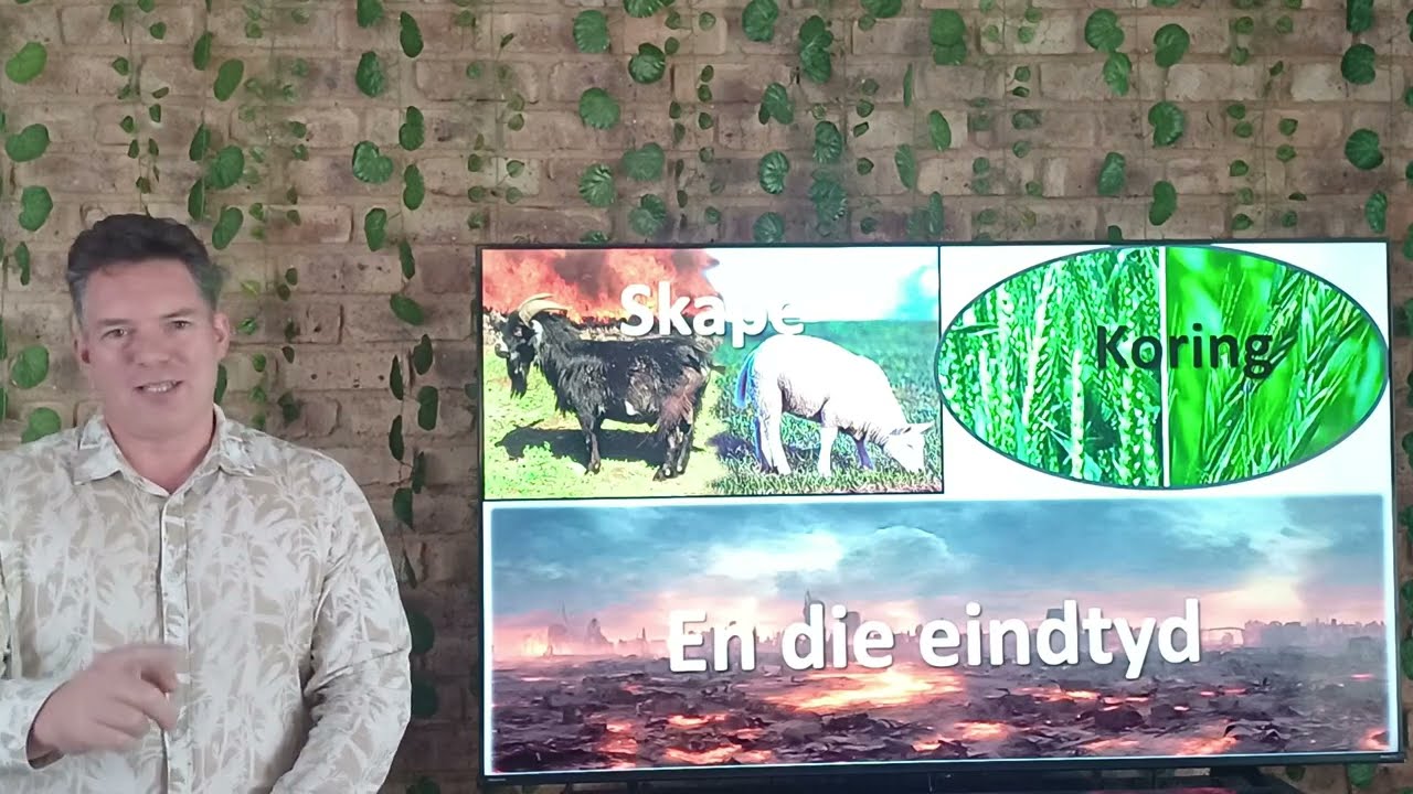 Shabbat Shalom: Skape, korning en die eindtyd | Riaan Abrie Ministries