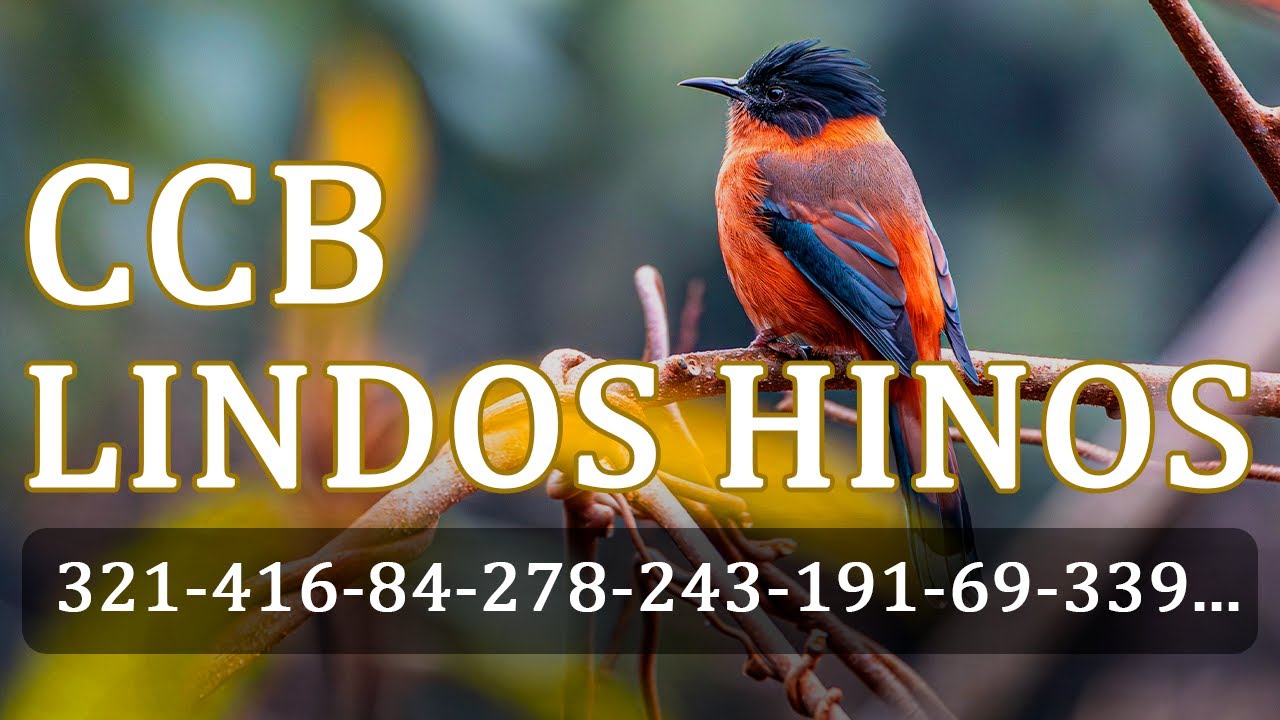 HINOS CCB 321 416 84 278 243 191 69 339 249 133