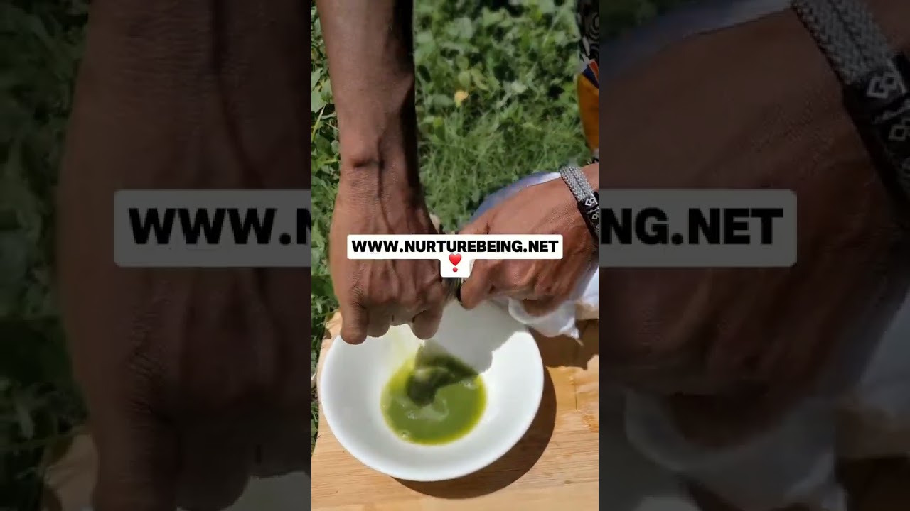 Why Doctors Are Studying This Jamaican Healing Plant