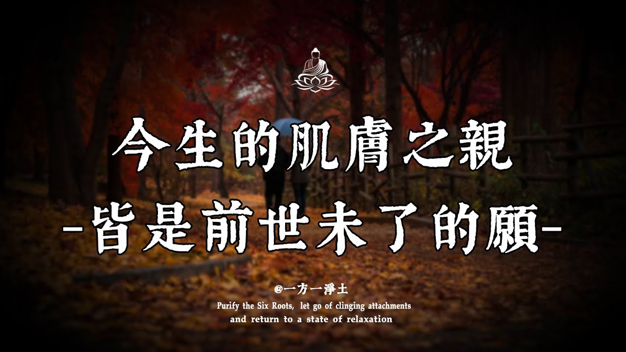 緣分不是偶然，今生和你發生性關係的人，是來討債還是還債，只看一個地方就知道了，有此特徵一定要用心償還。｜一方一淨土 #佛學 #佛學智慧 #修行 #菩提解脫道 #人生哲学