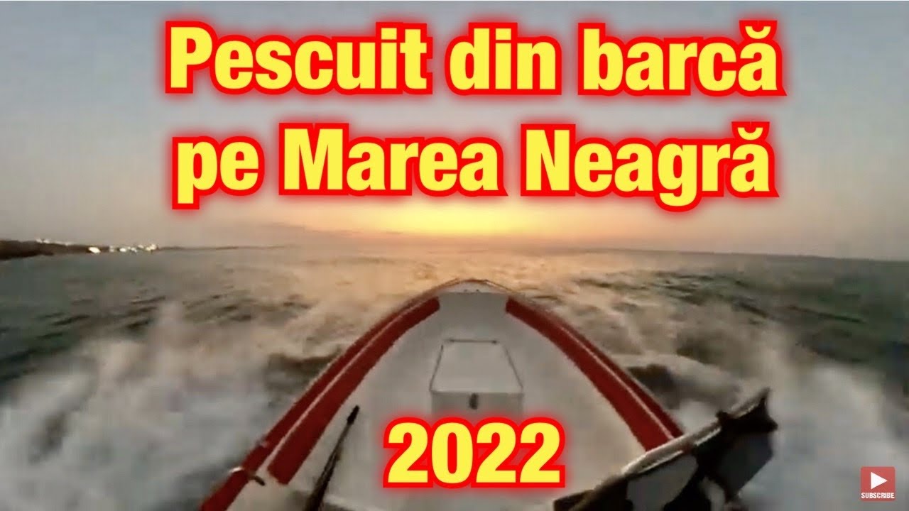 Pescuit la Marea Neagra. Am prins: Hanus, Guvid, Strunghil, Stavrid si Dragon