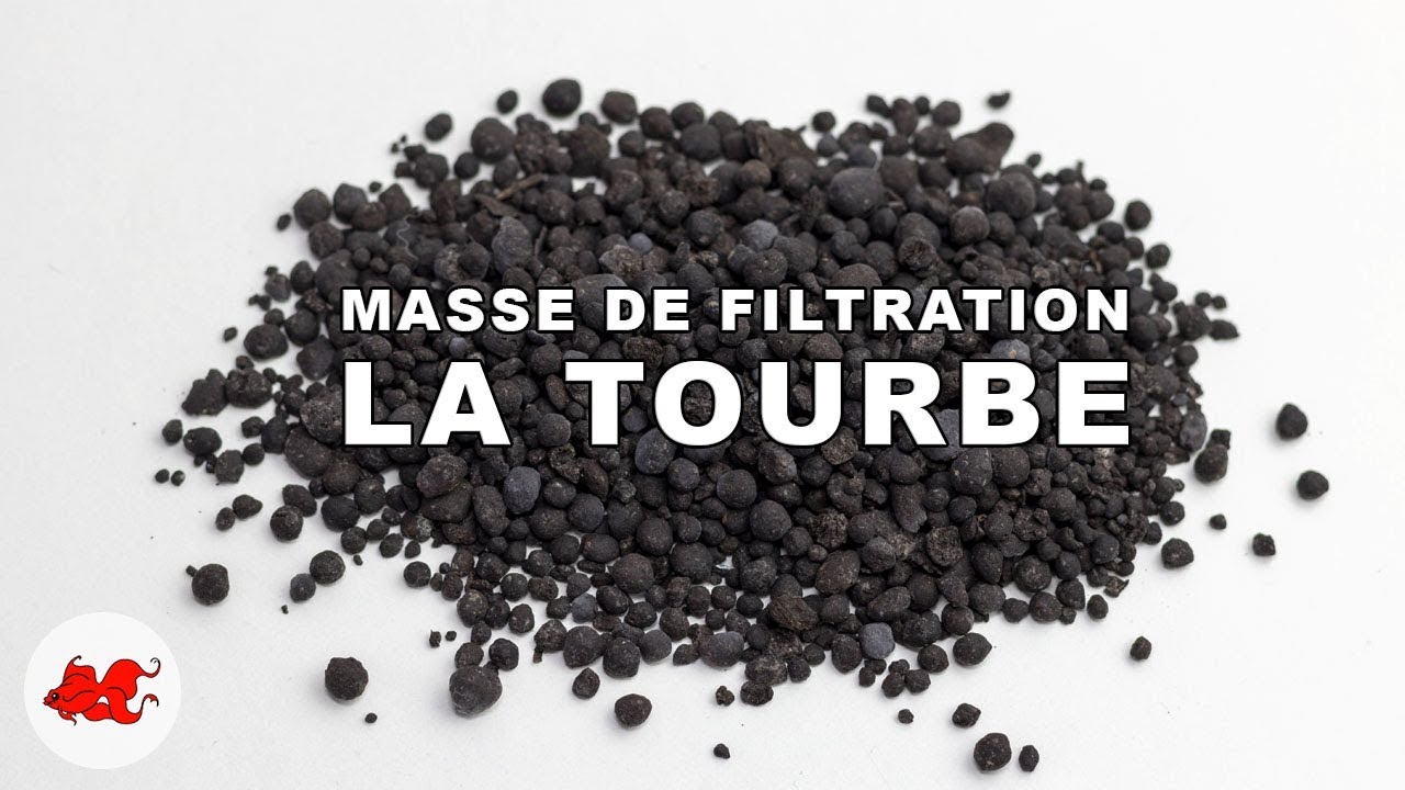 Tourbe :  Masse de filtration aquarium