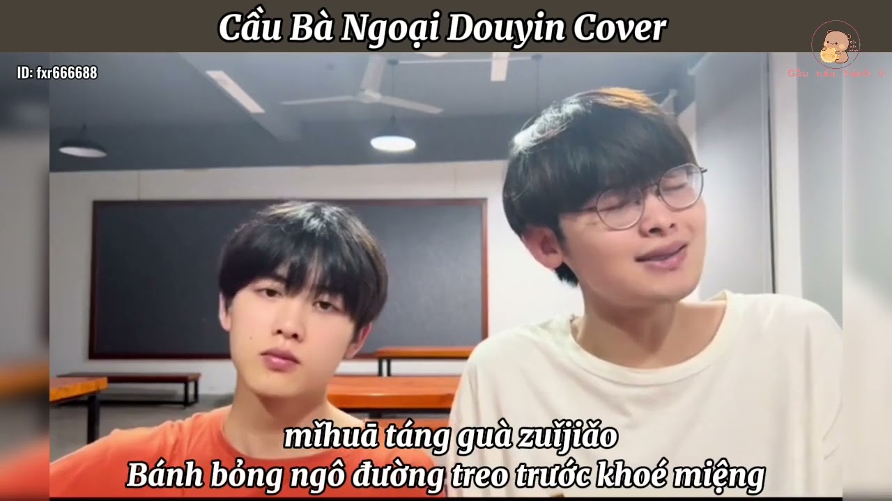 [Vietsub+pinyin] Cầu Bà Ngoại - Nhậm Niên || 外婆桥 - 任然 (Douyon Cover)