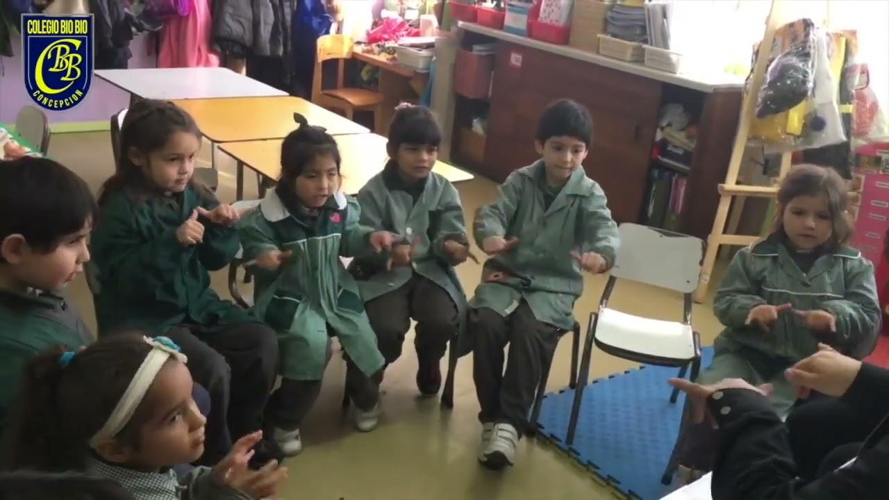 Prácticas Pedagógicas Colegio Bío Bío