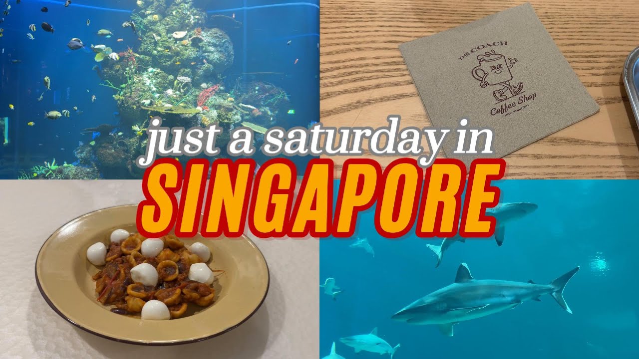 a saturday in singapore 🇸🇬 | visiting the Coach cafe / Oceanarium / cook pasta with me 🦈🐠🍦🍝 [CC]