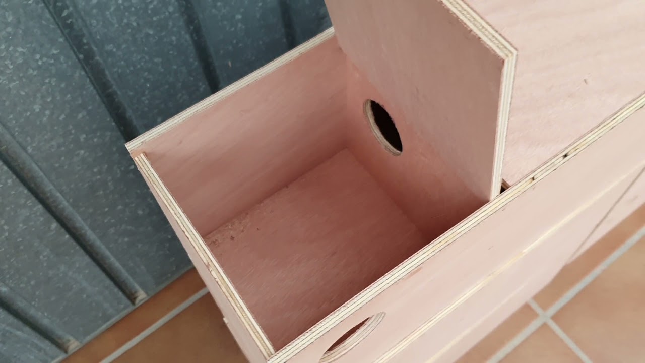 nido para jaula de cria agapornis y para neophemas