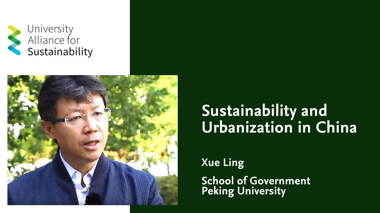 Sustainability and Urbanization in China // Interview with Xue Ling