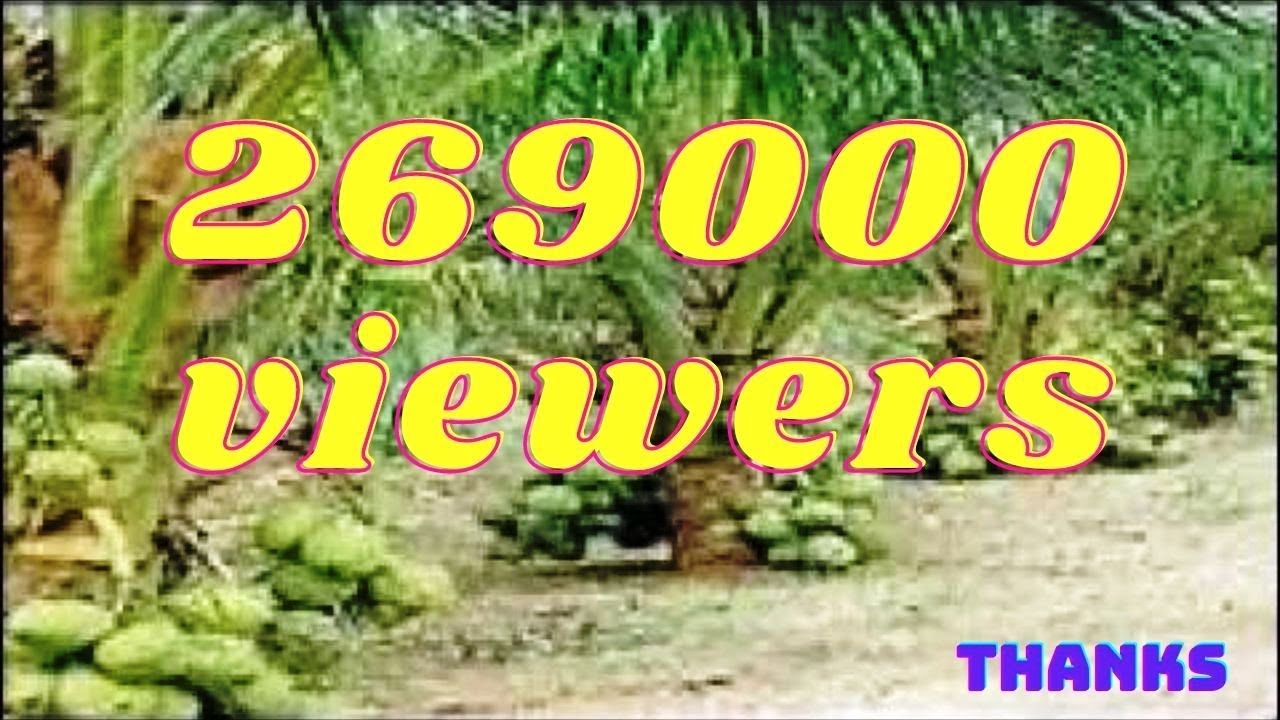 മലേഷ്യൻ കുള്ളൻ തെങ്ങ് കൃഷി//kullan thengu  Malaysian dwarf coconut tree planting