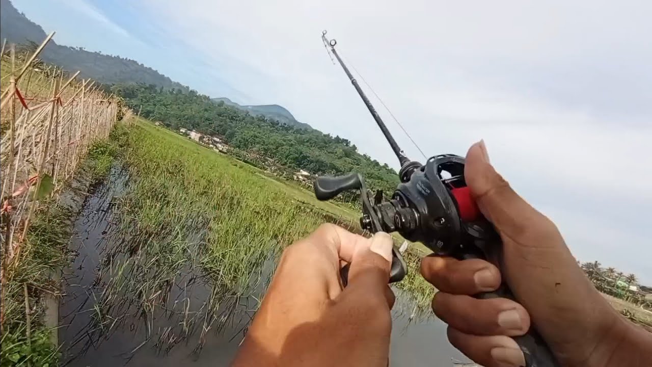 Mancing ikan gabus besar, //spot banjiran ta di sangka banyak...!!! 