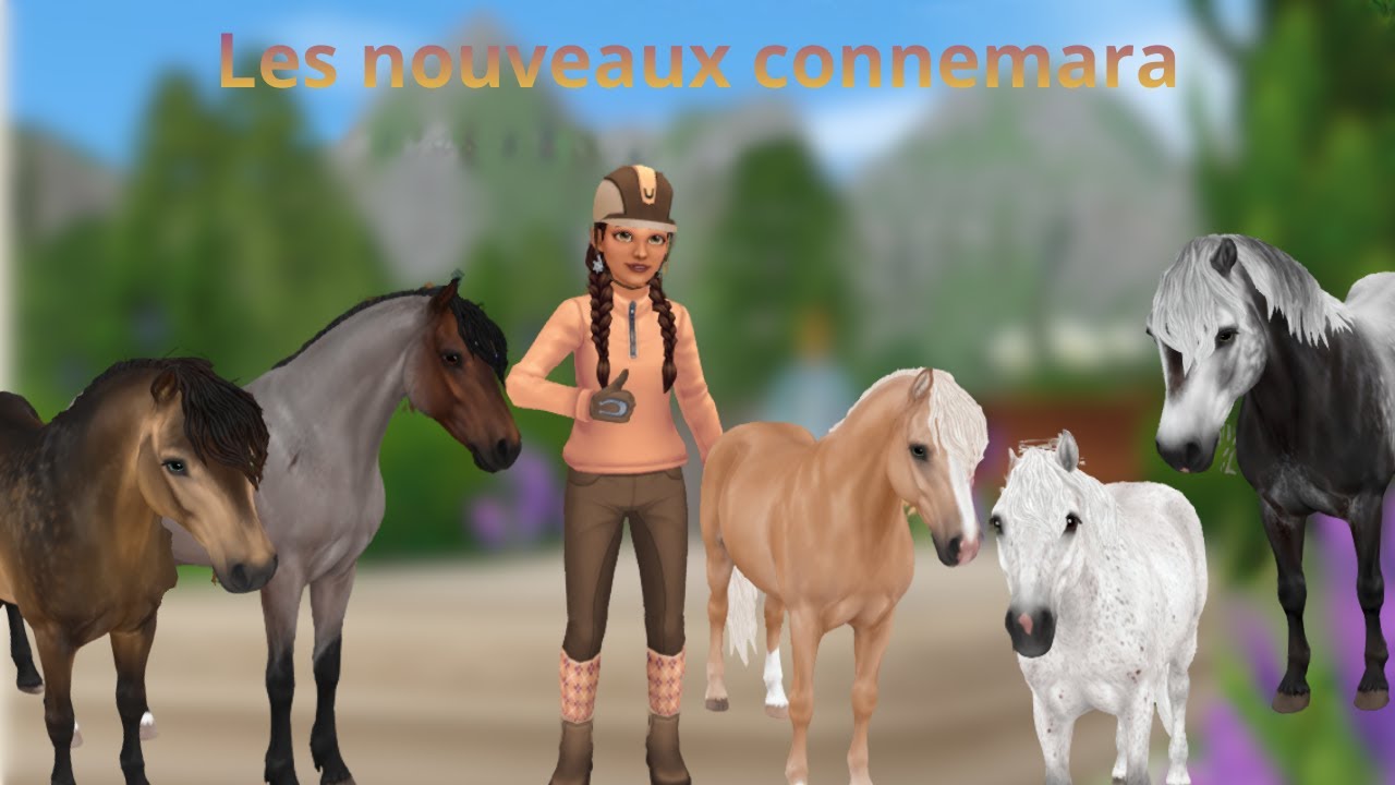SSO: Les nouveaux Connemara