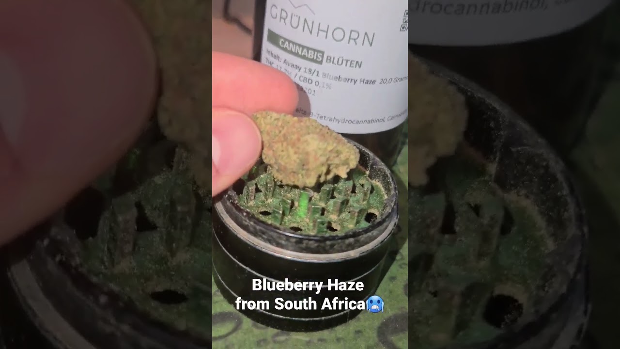 Avaay 18/1 Blueberry Haze