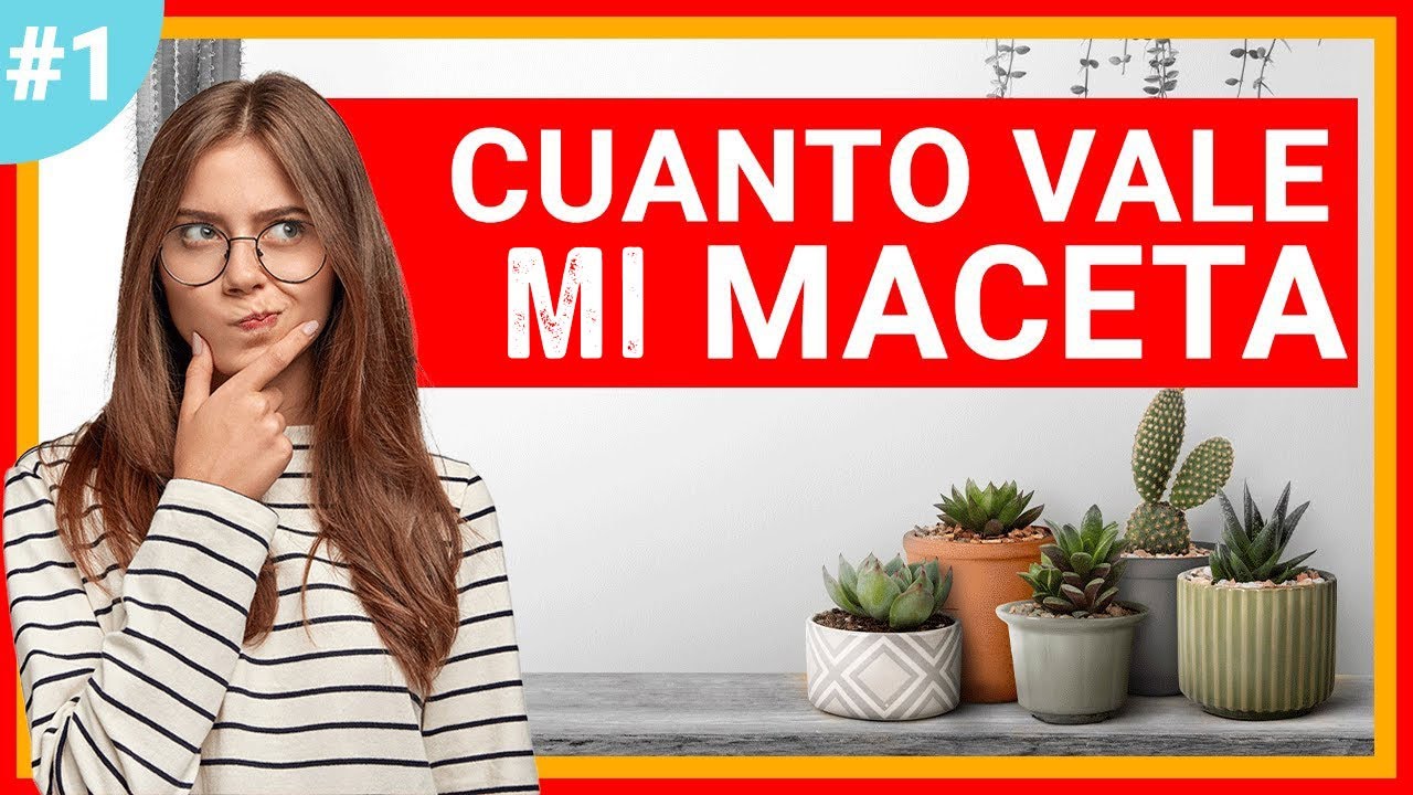 💰QUE PRECIO LE PONGO A MI MACETA DE CEMENTO O TERRAZO  FORMULA FACIL PARA SACAR EL COSTO PASO A PASO
