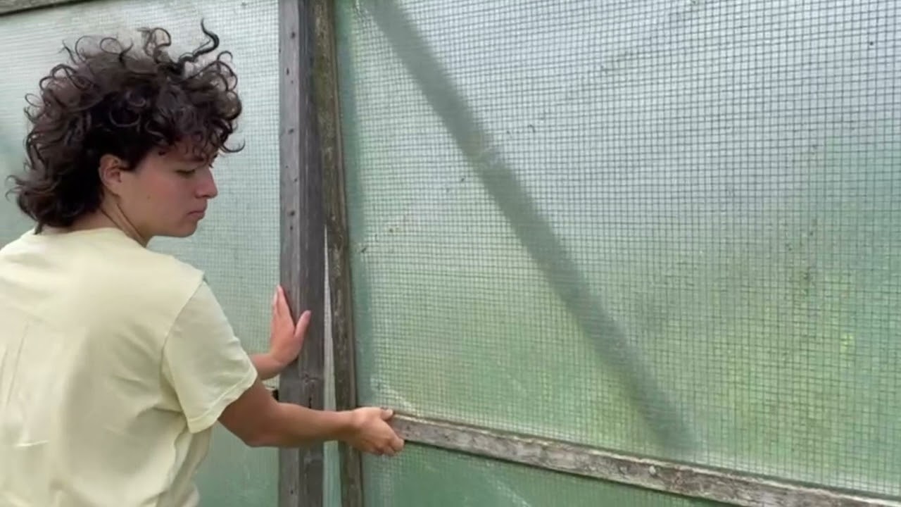 Meloenen of pompoenen? Op bezoek bij Bioduin