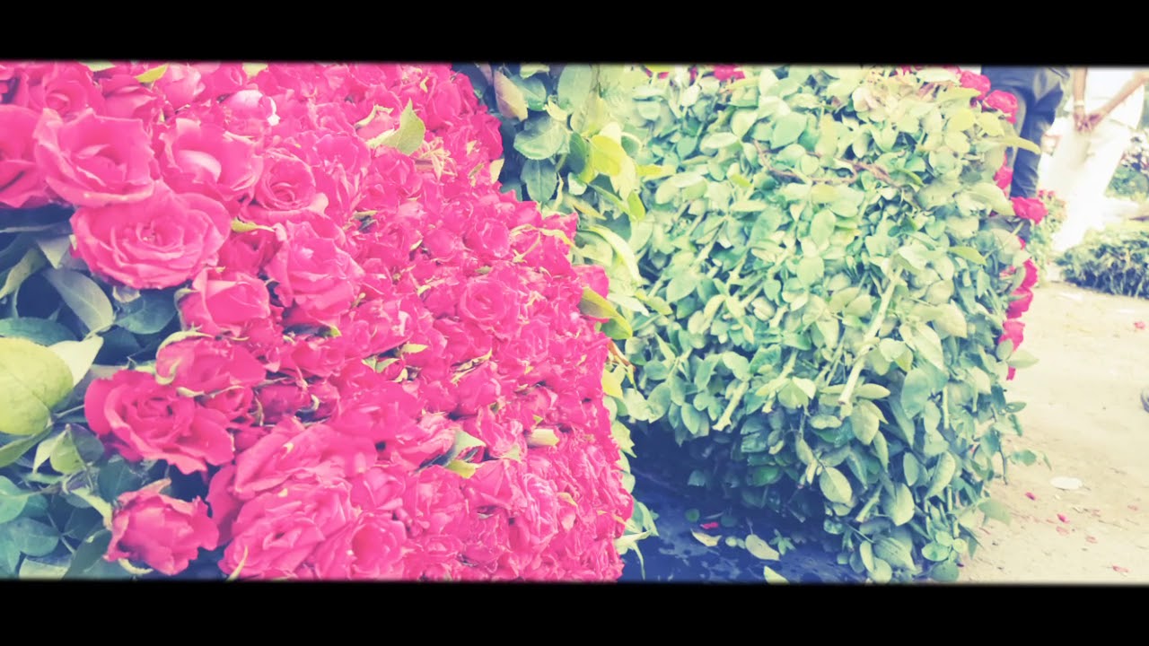 Flower Market Tour New Delhi