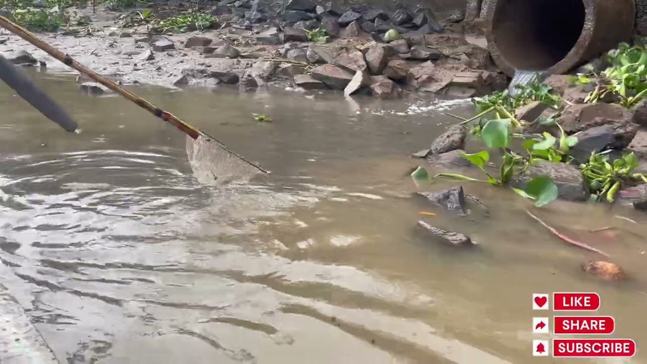 Trải nghiệm săn thủy quái trên Sông Tiền bằng cây vợt của Doreamon …!