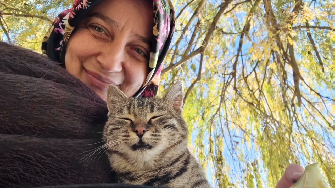 KURTBOĞAZI BARAJI / KIZILCAHAMAM YOLU