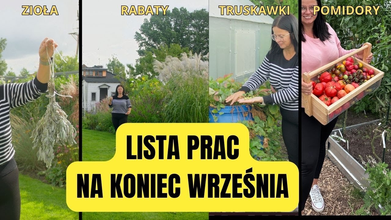 Wrzesień lista prac w ogrodzie. KALENDARZ OGRODNIKA