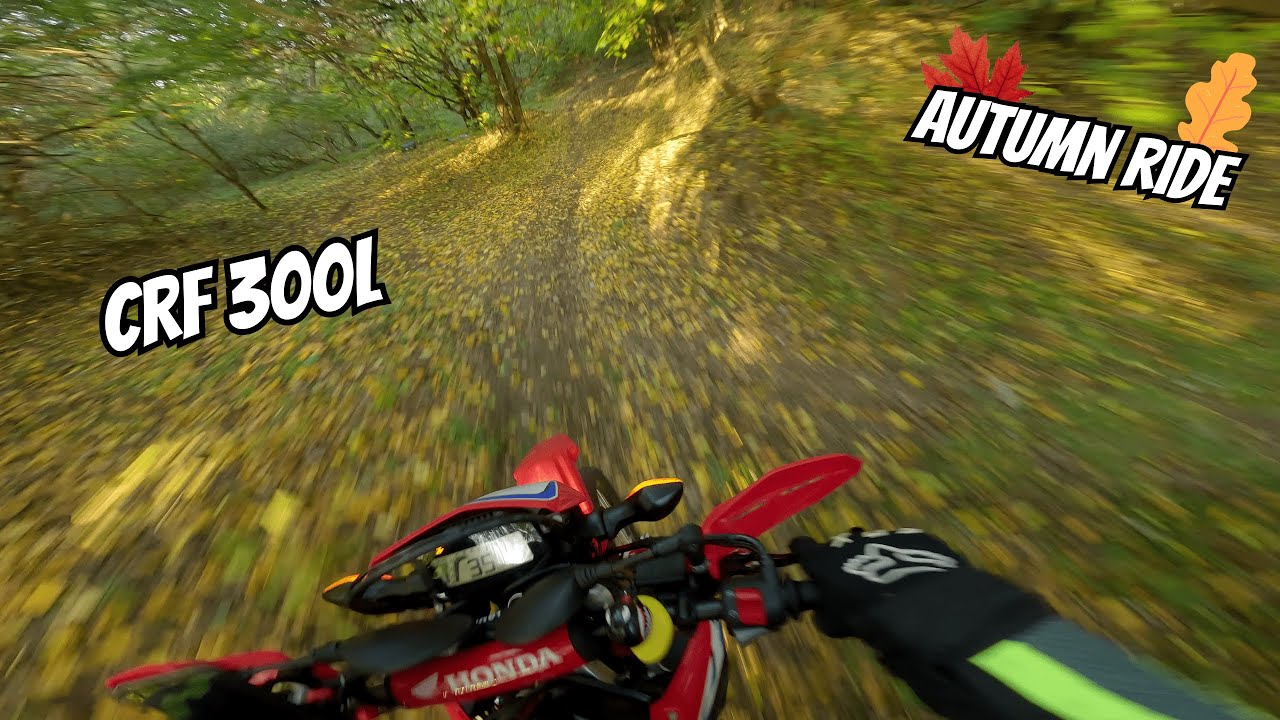 HONDA CRF 300L TRAIL RIDING | POV [4K]