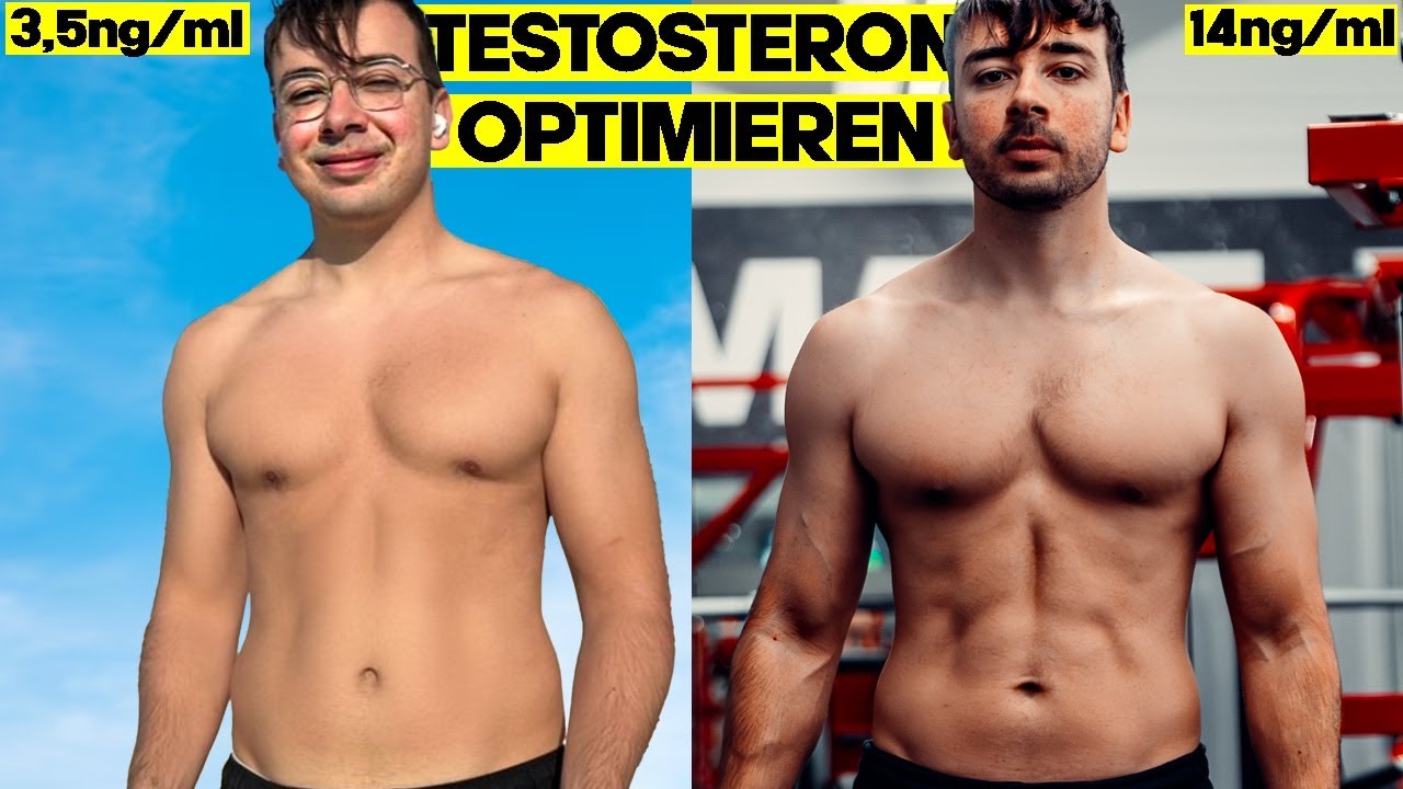 Testosteron natural verdoppeln: Der komplette Guide