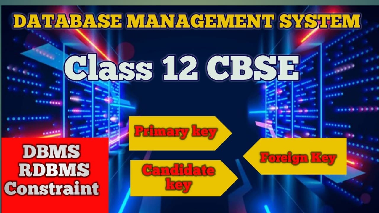 Database Management System class 12(DBMS)