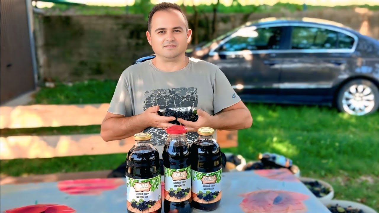 Najpoznatija mini plantaža aronije u Bosni i Hercegovini, Mini planataža aronije Zelenika